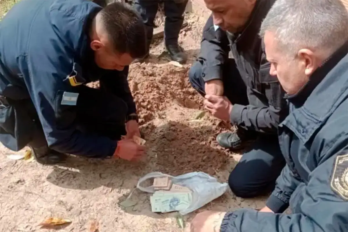 Robó $2,5 millones de una pinturería y enterró el dinero en el patio de una casa