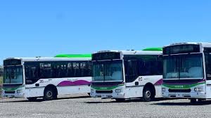 La cagada de Rosario Romero le cuesta casi mil millones por semana a los paranaenses.